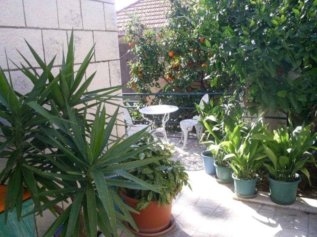 Dubrovnik Sea View Apartment Екстериор снимка