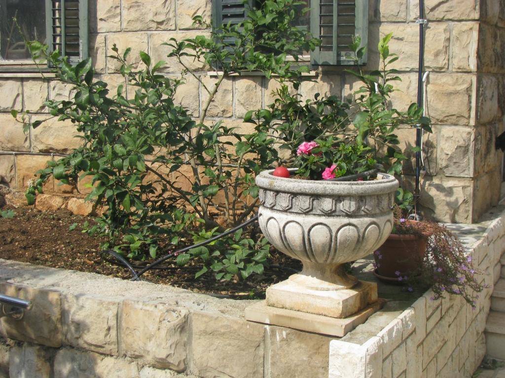 Dubrovnik Sea View Apartment Екстериор снимка
